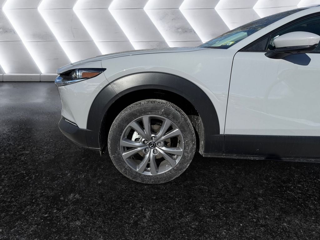 2026 Mazda Mazda CX-30 2.5 S Premium AWD