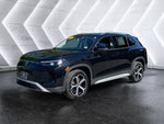 2025 Volkswagen Tiguan SE