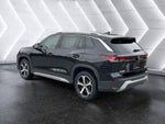 2025 Volkswagen Tiguan SE
