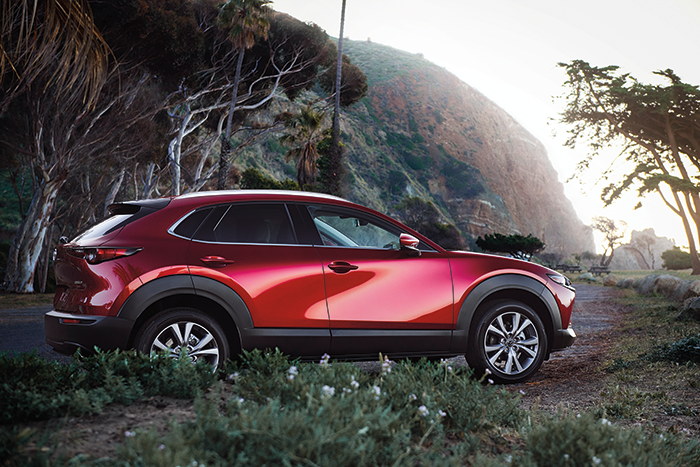 0% APR for 36 Months or $1000 Customer Cash